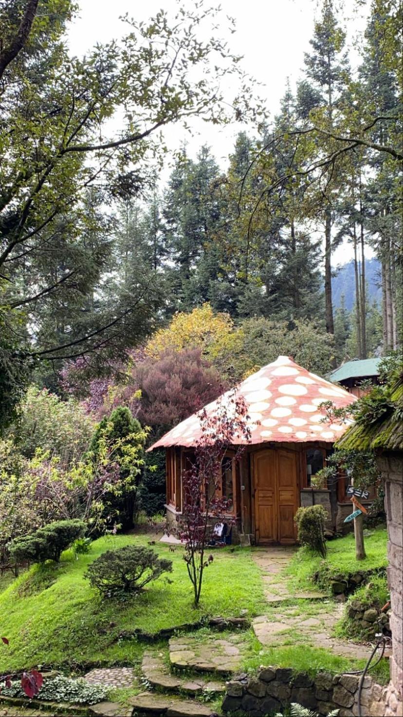 Boxque Teva Hotel Mexikóváros Kültér fotó